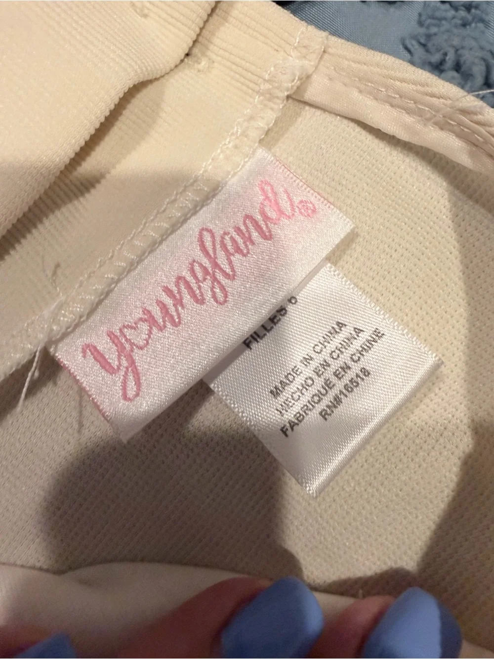 Youngland Cream Embroidered Tulle Party Dress